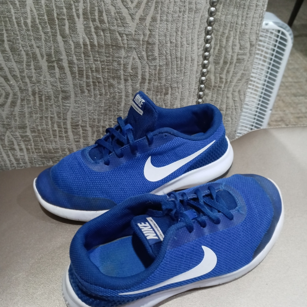 Nike Flex Experience RN 7 Athletic Shoes/Sneakers